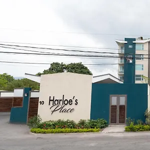  Apartment Harloe'S @ Kingstongo876 Jamaica